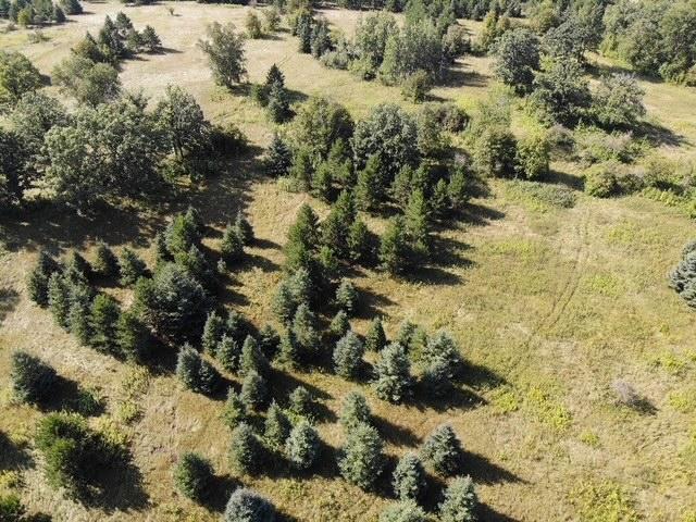 TBD 190th Street, Wadena MN 56482 - Photo 6 of 12