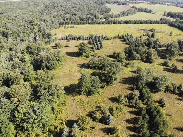 TBD 190th Street, Wadena MN 56482 - Photo 8 of 12
