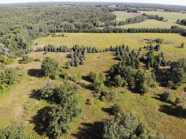 TBD 190th Street, Wadena MN 56482 - Photo 9 of 12