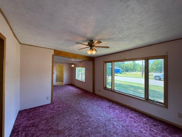 202 NW Brown Street, Verndale MN 56481 - Photo 17 of 27