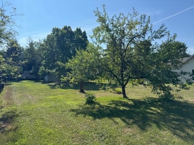 202 NW Brown Street, Verndale MN 56481 - Photo 5 of 27