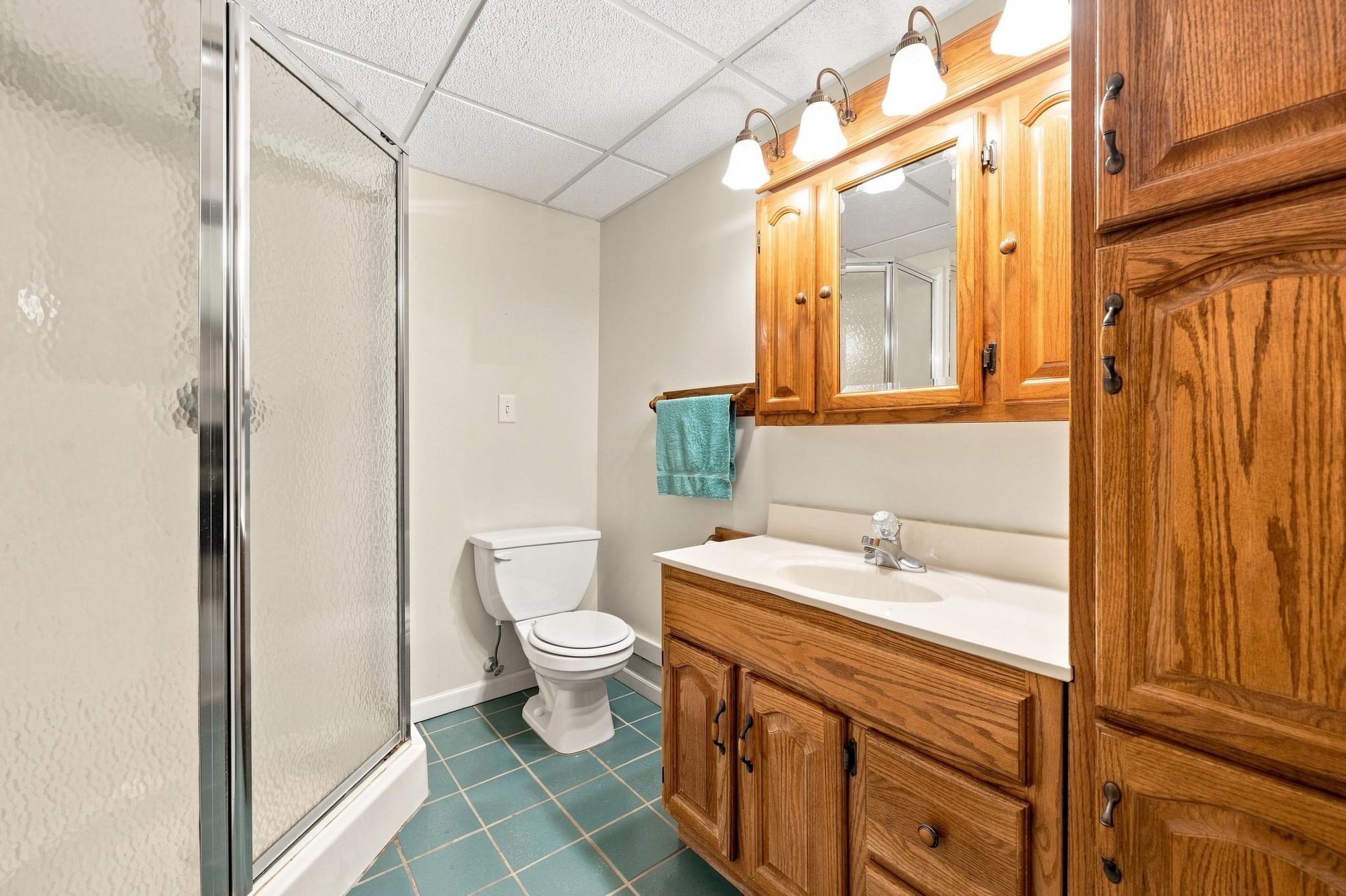 1965 single family home for sale at 27906 Ambassador Drive in Grey Eagle, MN — 3 bed, 2 bath (photo 47 of 63)
