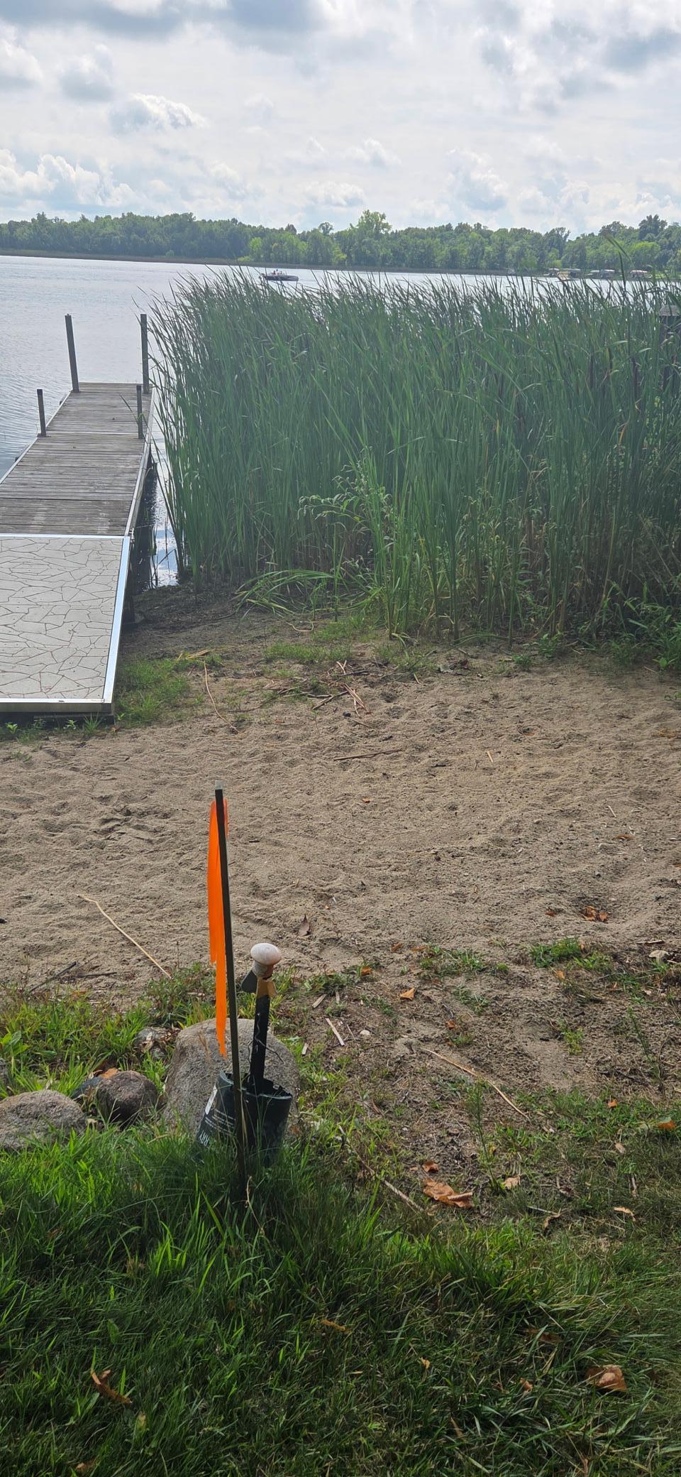 land for sale at XXXXX Tall Timbers Road SW in Garfield, MN (photo 11 of 24)