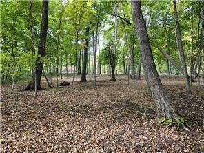 land for sale at XXXXX Tall Timbers Road SW in Garfield, MN (photo 18 of 24)