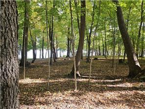 land for sale at XXXXX Tall Timbers Road SW in Garfield, MN (photo 19 of 24)