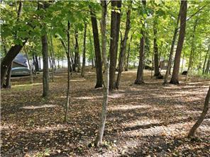 land for sale at XXXXX Tall Timbers Road SW in Garfield, MN (photo 20 of 24)