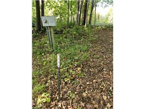 land for sale at XXXXX Tall Timbers Road SW in Garfield, MN (photo 21 of 24)