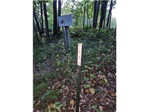 land for sale at XXXXX Tall Timbers Road SW in Garfield, MN (photo 24 of 24)