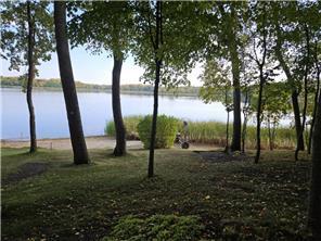 land for sale at XXXXX Tall Timbers Road SW in Garfield, MN (photo 6 of 24)