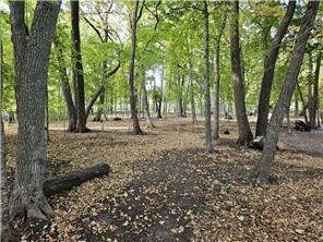 land for sale at XXXXX Tall Timbers Road SW in Garfield, MN (photo 8 of 24)