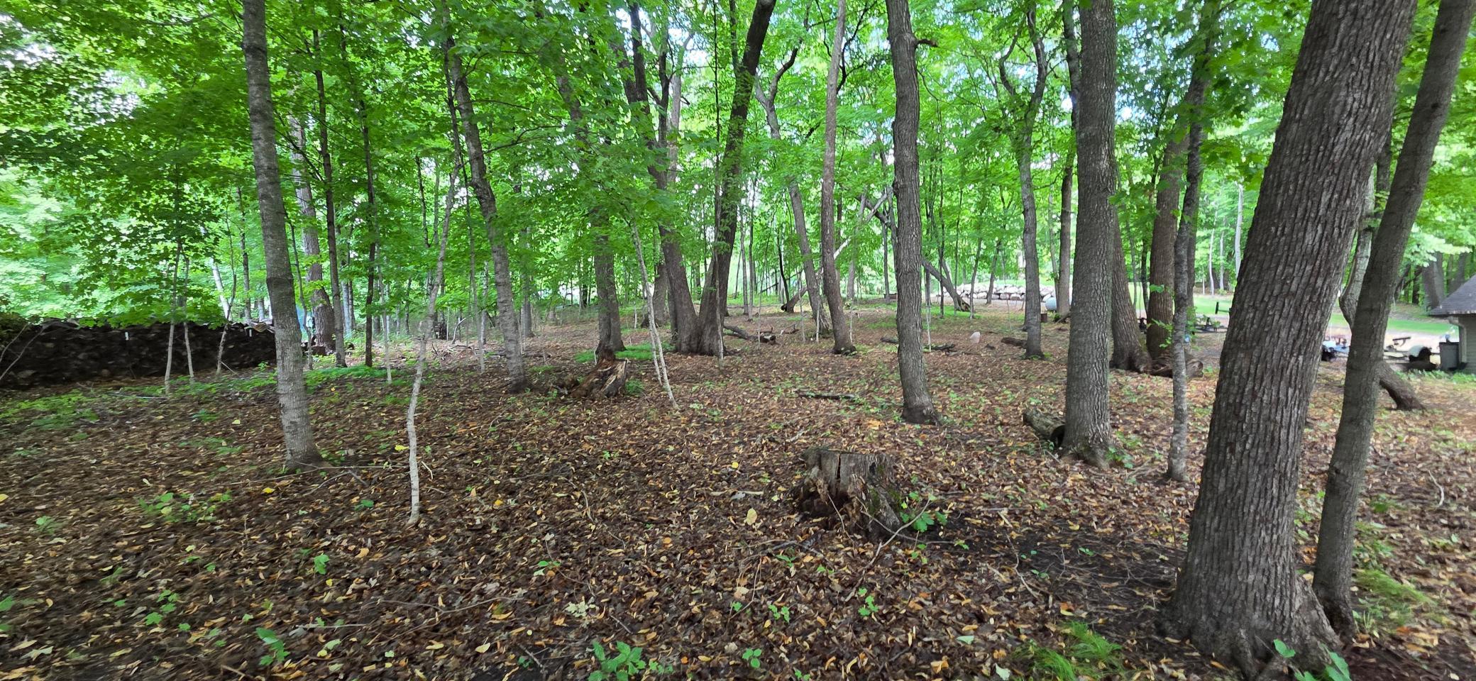 land for sale at XXXXX Tall Timbers Road SW in Garfield, MN (photo 9 of 24)