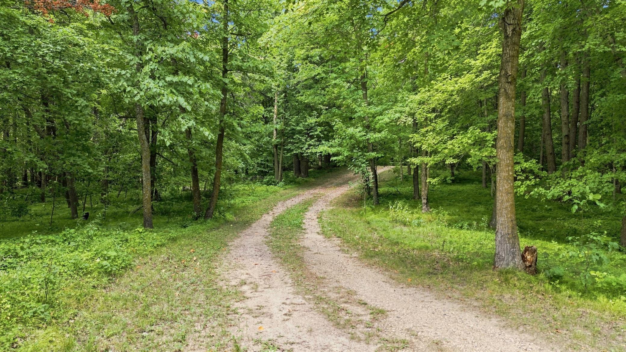 land for sale at 260th Emery in Erhard, MN (photo 2 of 18)