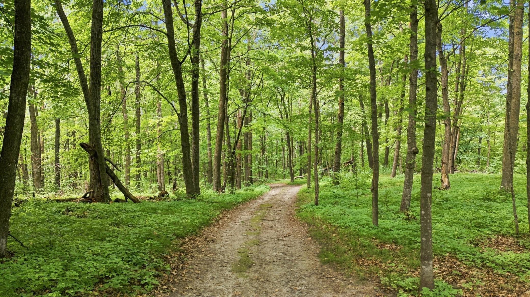 land for sale at 260th Emery in Erhard, MN (photo 9 of 18)