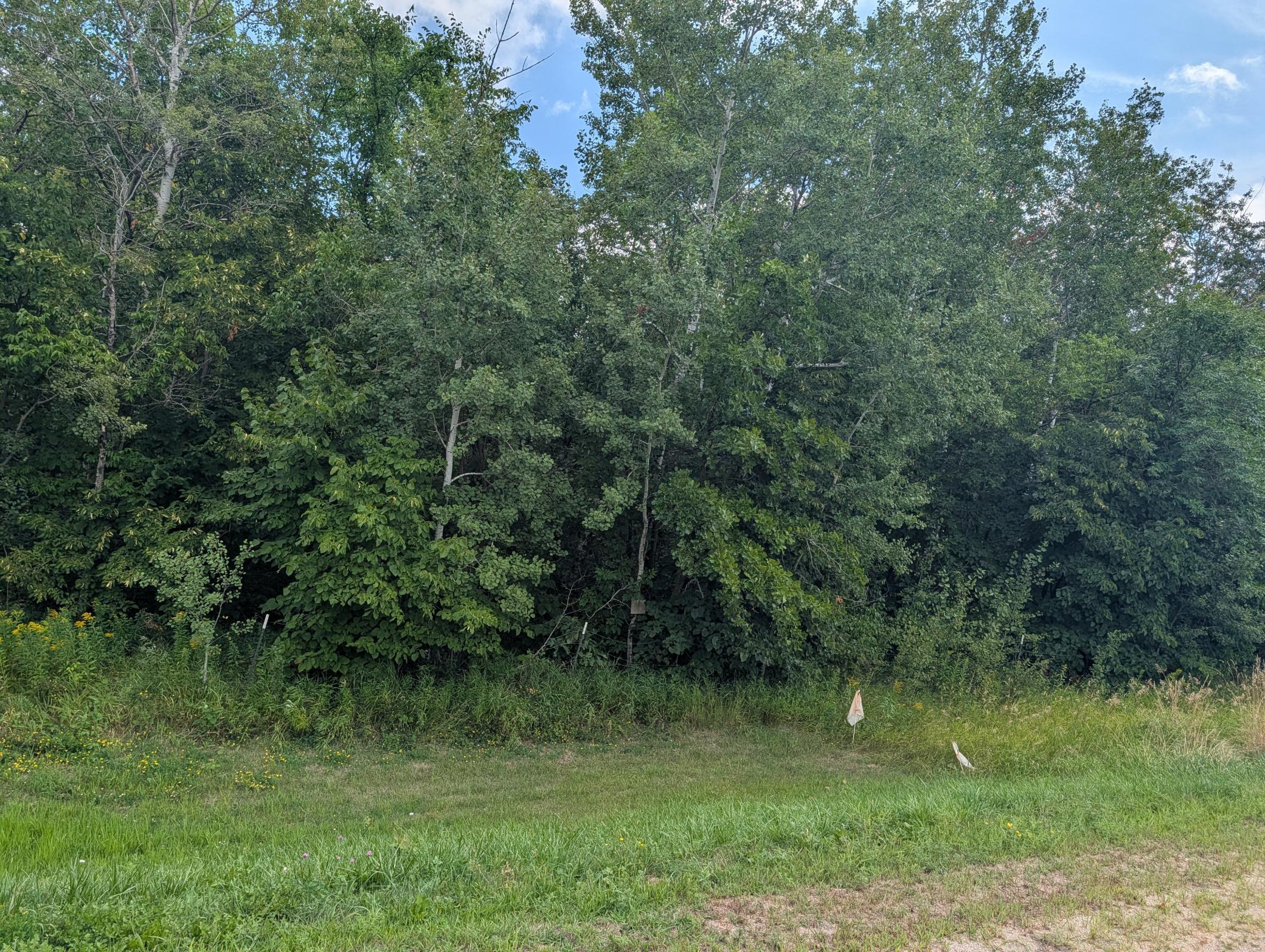 land for sale at 36962 560th Avenue N in New York Mills, MN (photo 16 of 18)