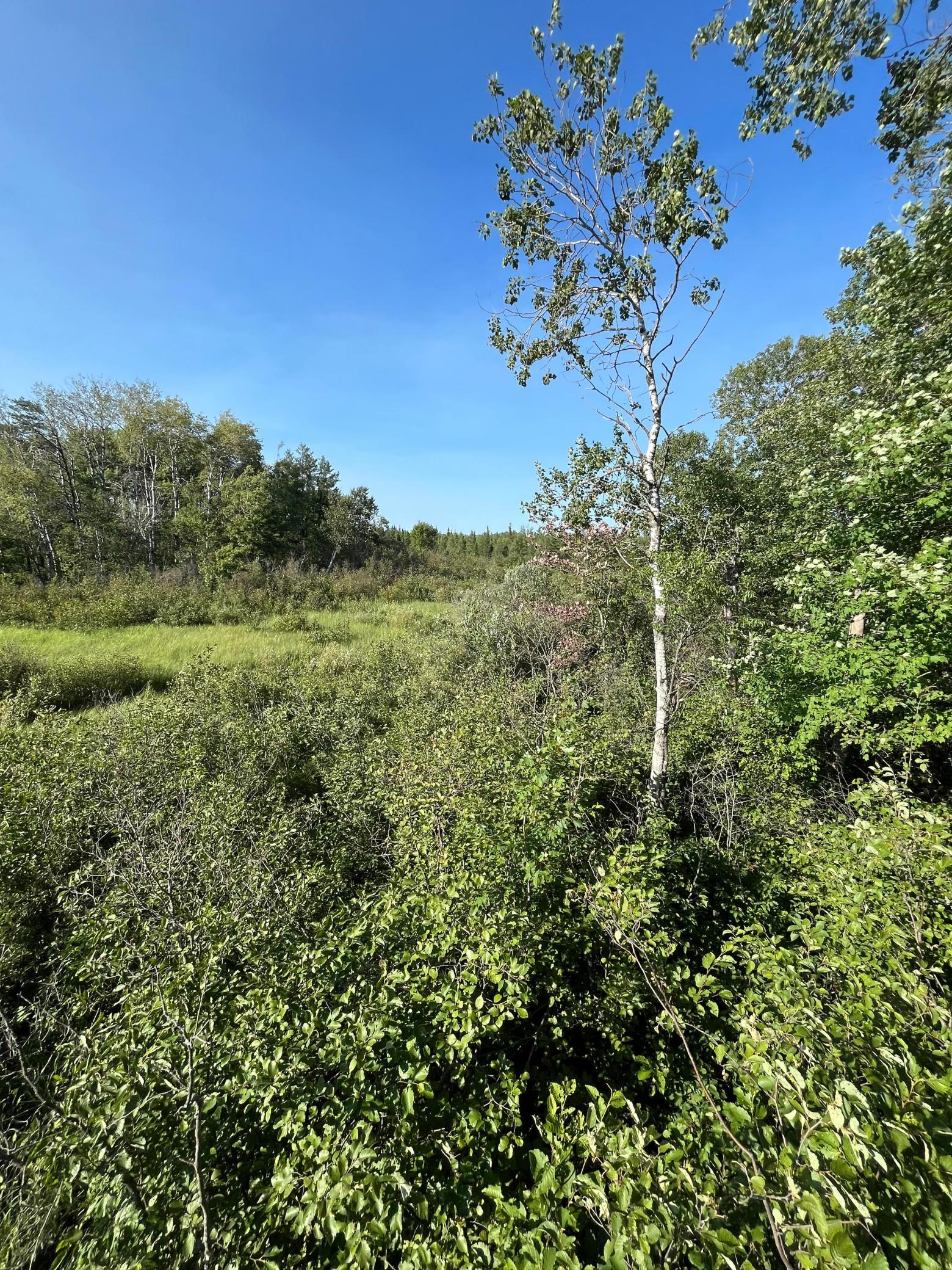 land for sale at xxx U S Hwy 169 in Aitkin, MN (photo 11 of 23)