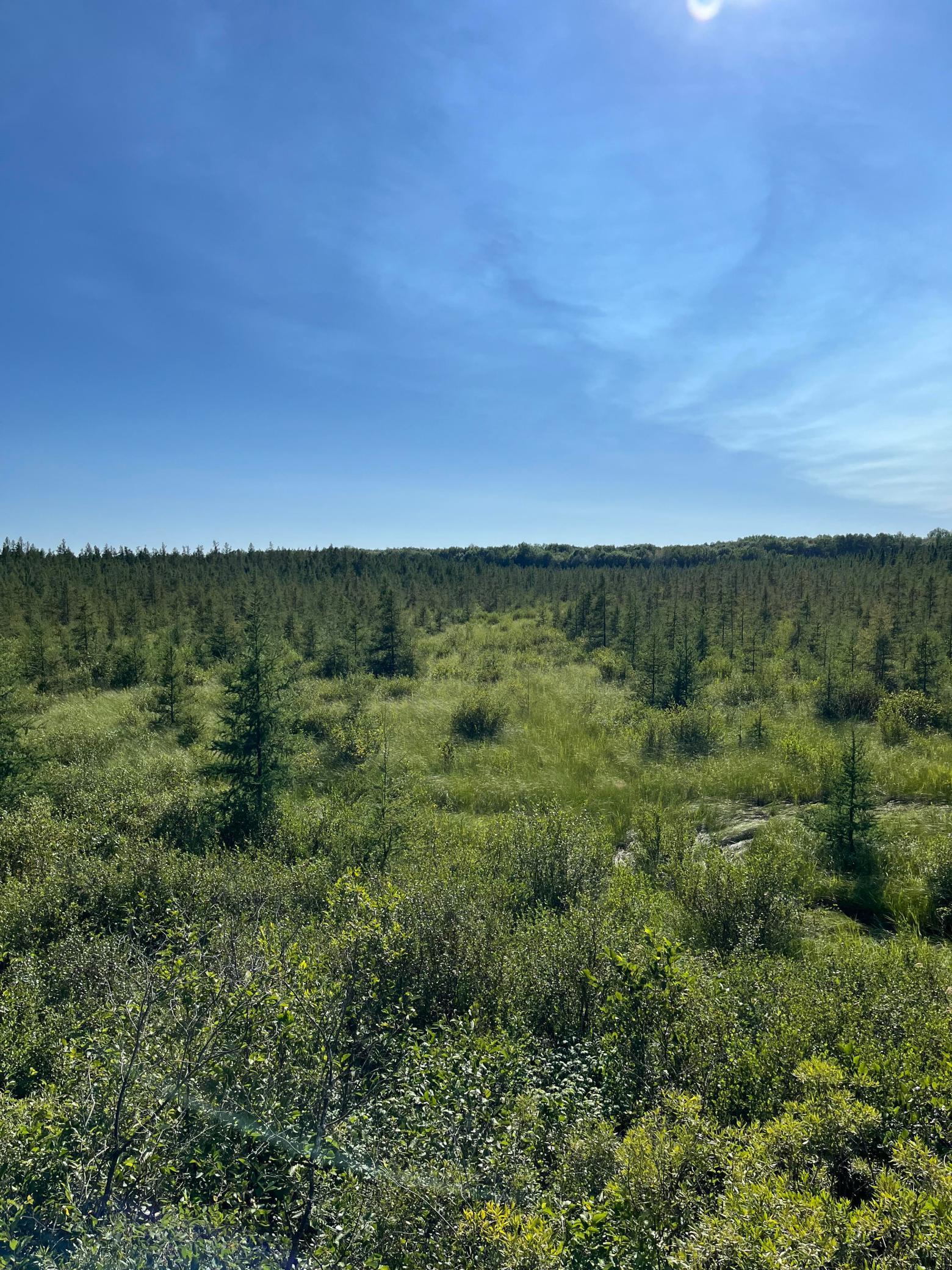 land for sale at xxx U S Hwy 169 in Aitkin, MN (photo 12 of 23)