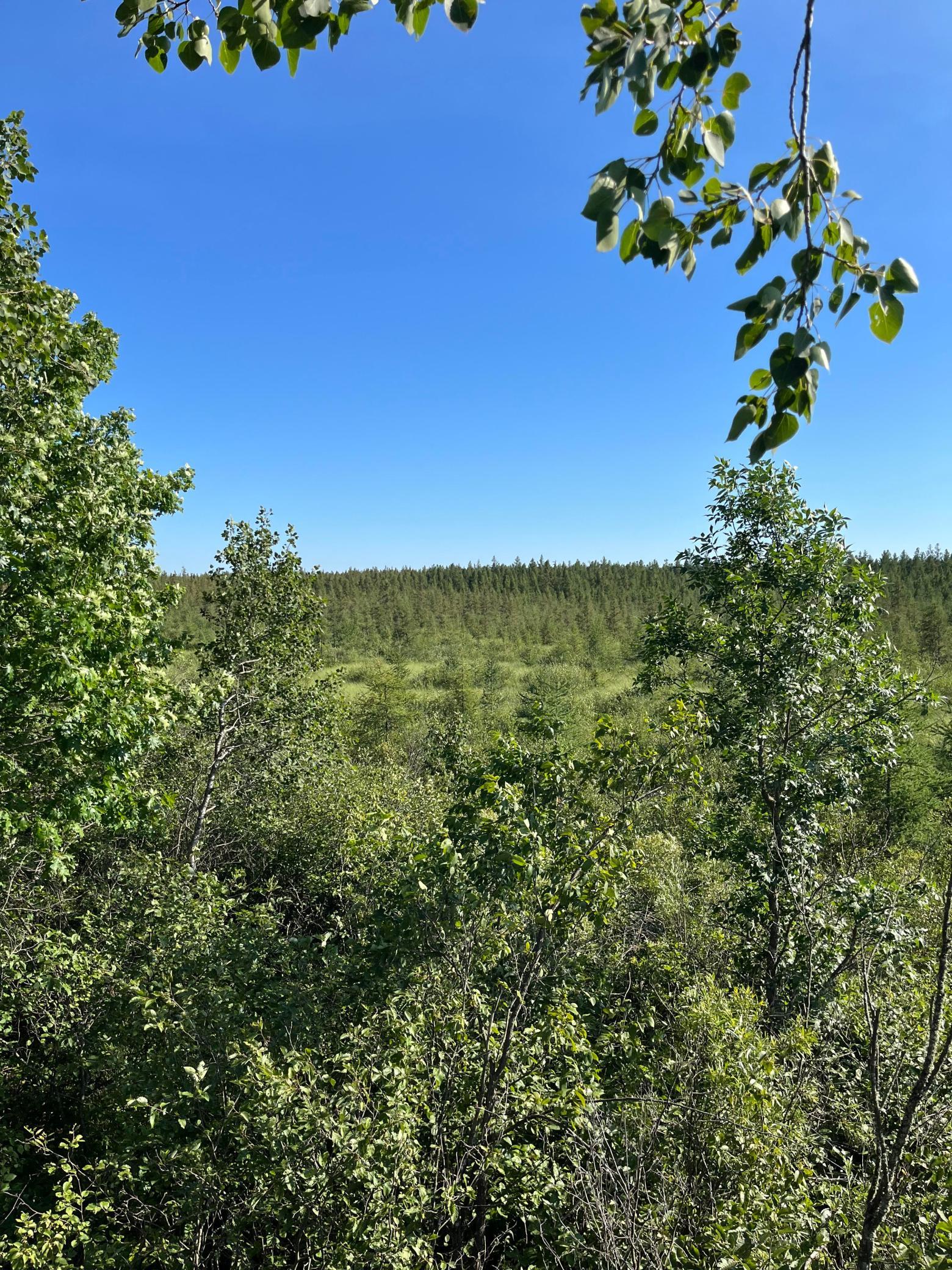 land for sale at xxx U S Hwy 169 in Aitkin, MN (photo 13 of 23)