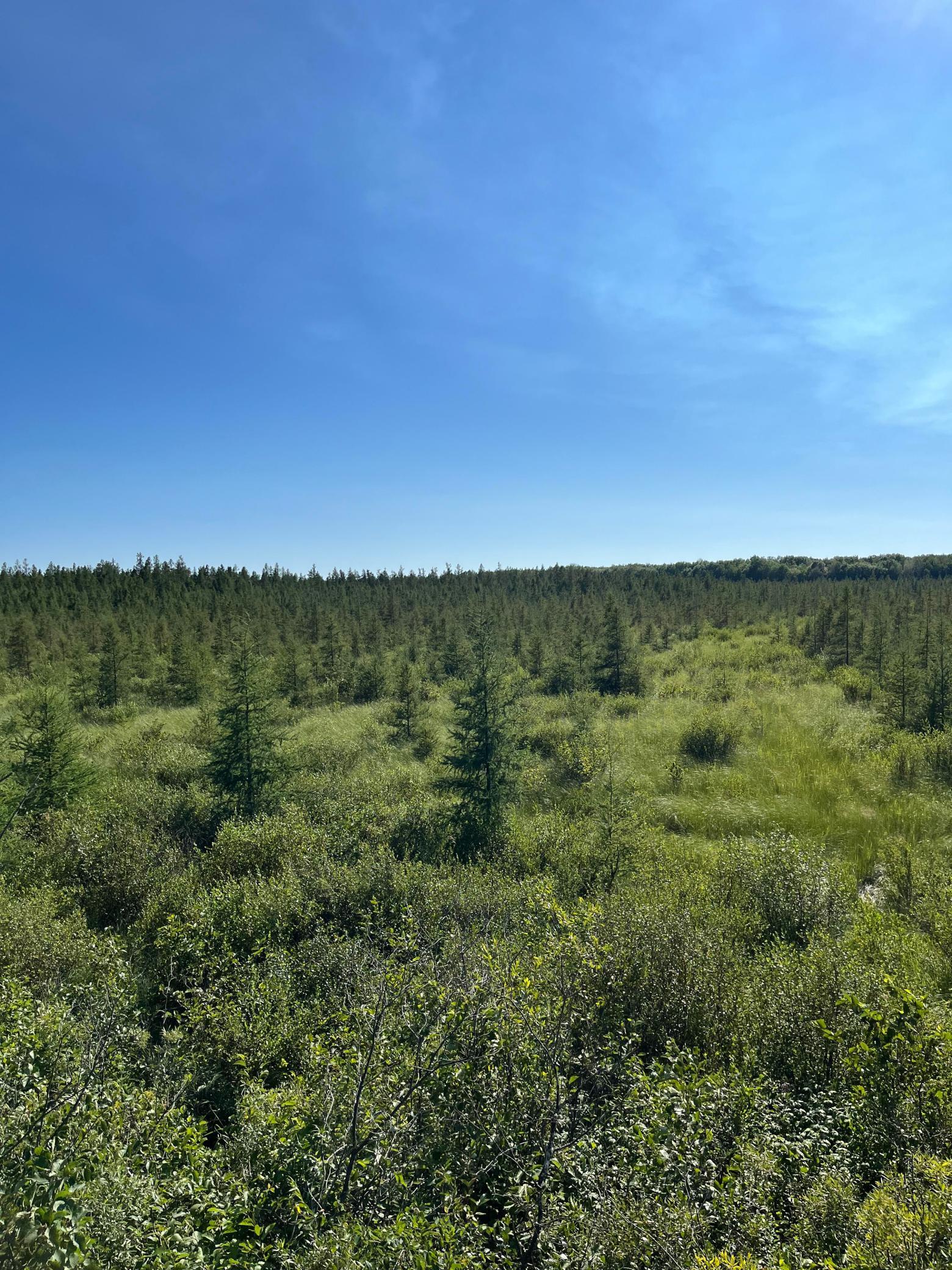 land for sale at xxx U S Hwy 169 in Aitkin, MN (photo 14 of 23)