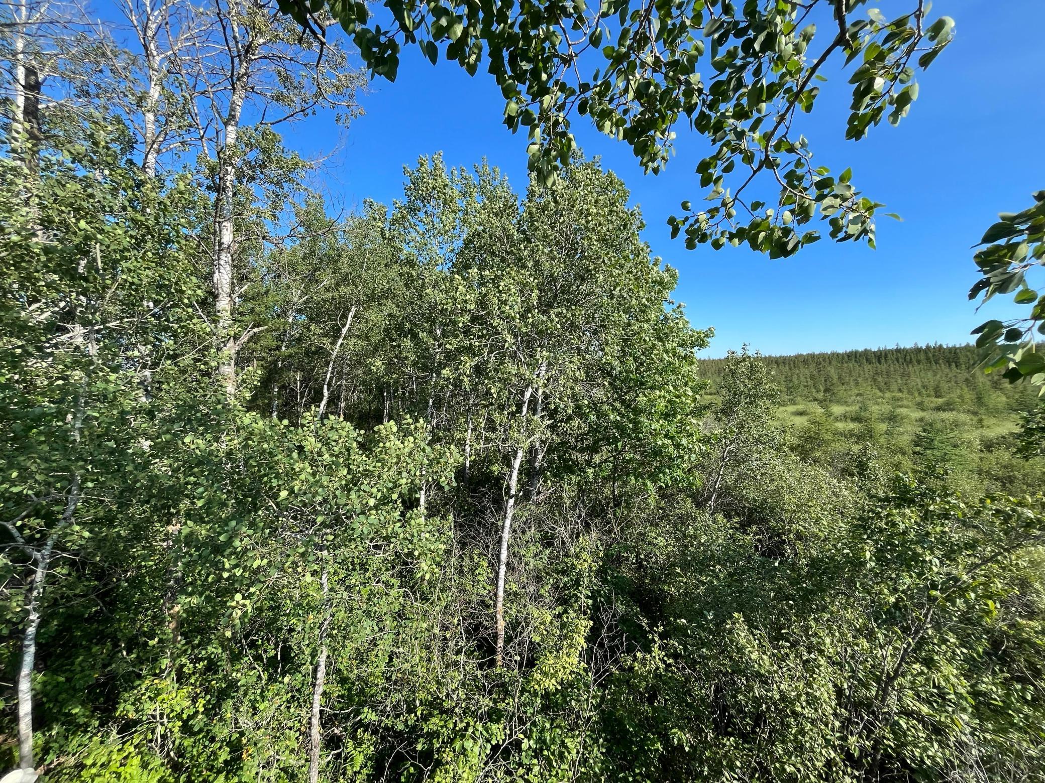 land for sale at xxx U S Hwy 169 in Aitkin, MN (photo 15 of 23)