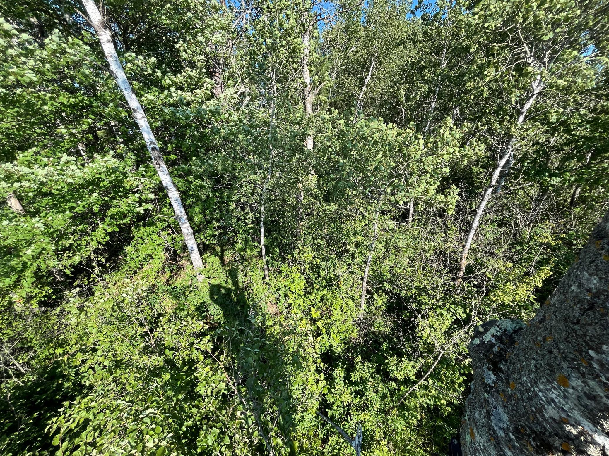 land for sale at xxx U S Hwy 169 in Aitkin, MN (photo 16 of 23)