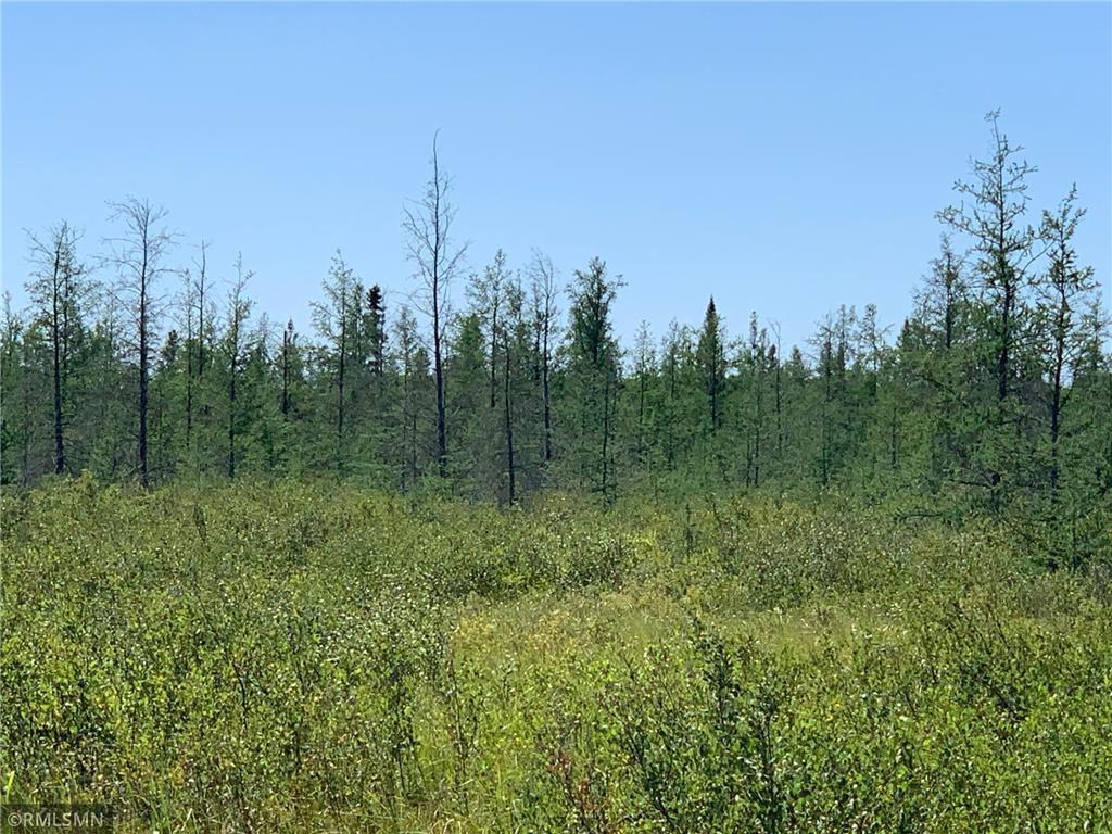 land for sale at xxx U S Hwy 169 in Aitkin, MN (photo 19 of 23)