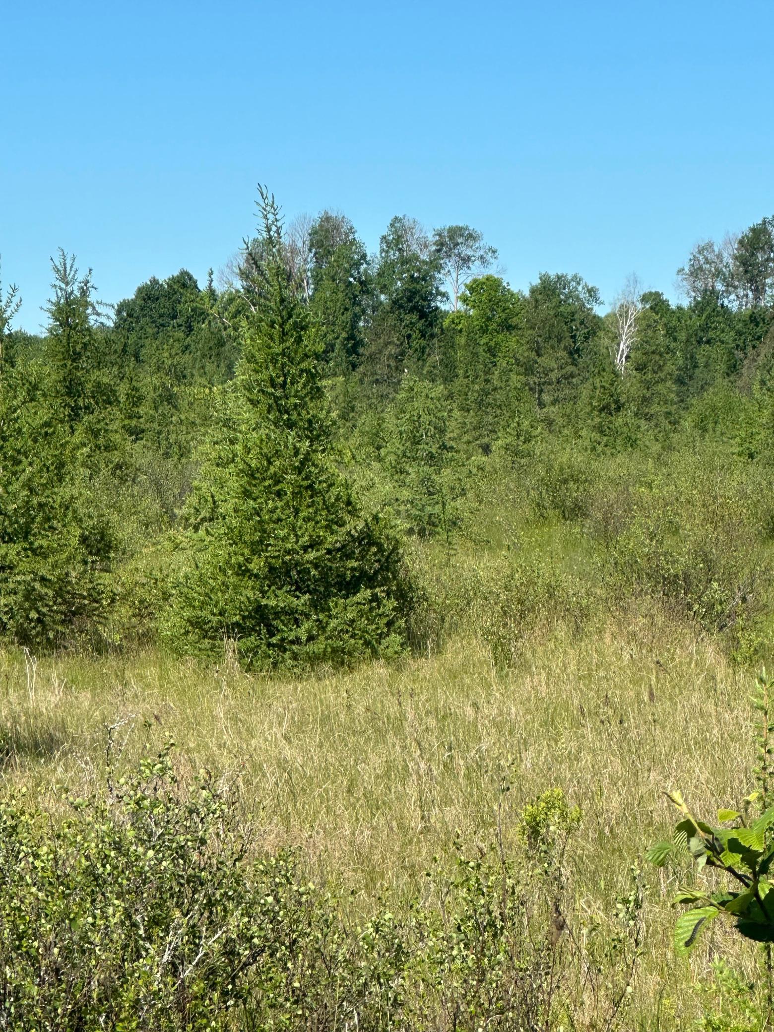 land for sale at xxx U S Hwy 169 in Aitkin, MN (photo 20 of 23)