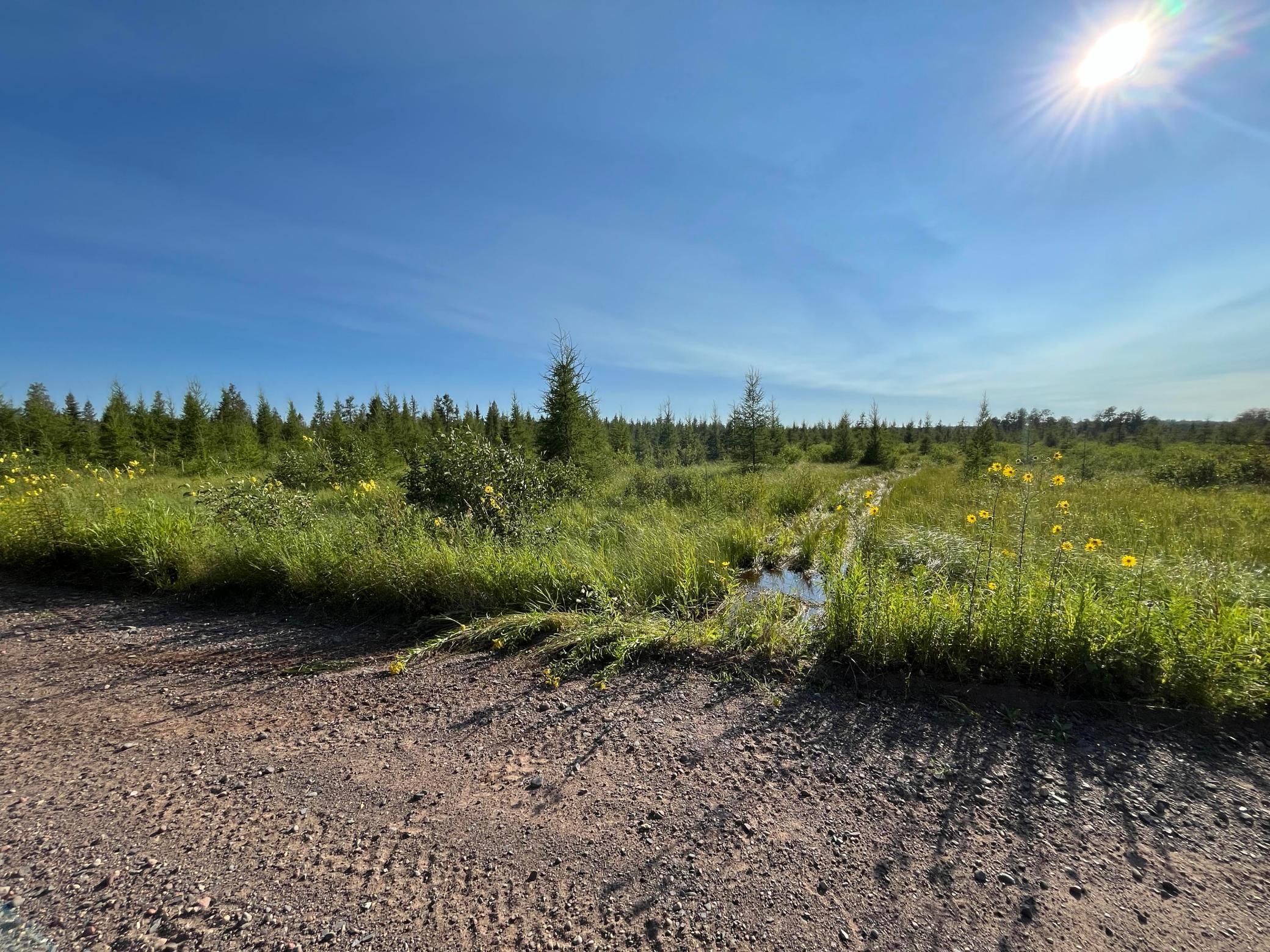 land for sale at xxx U S Hwy 169 in Aitkin, MN (photo 22 of 23)