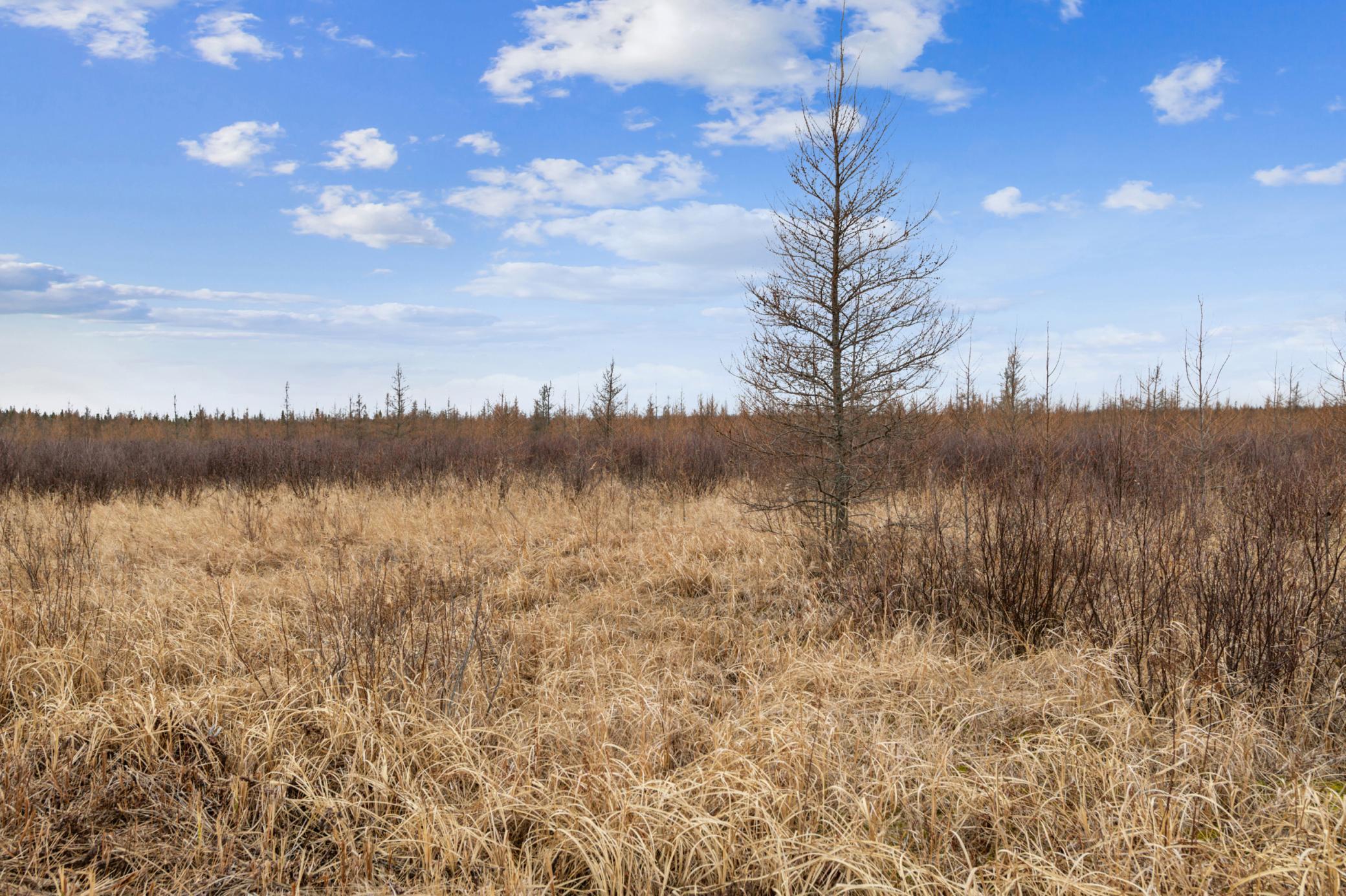 land for sale at xxx U S Hwy 169 in Aitkin, MN (photo 9 of 23)