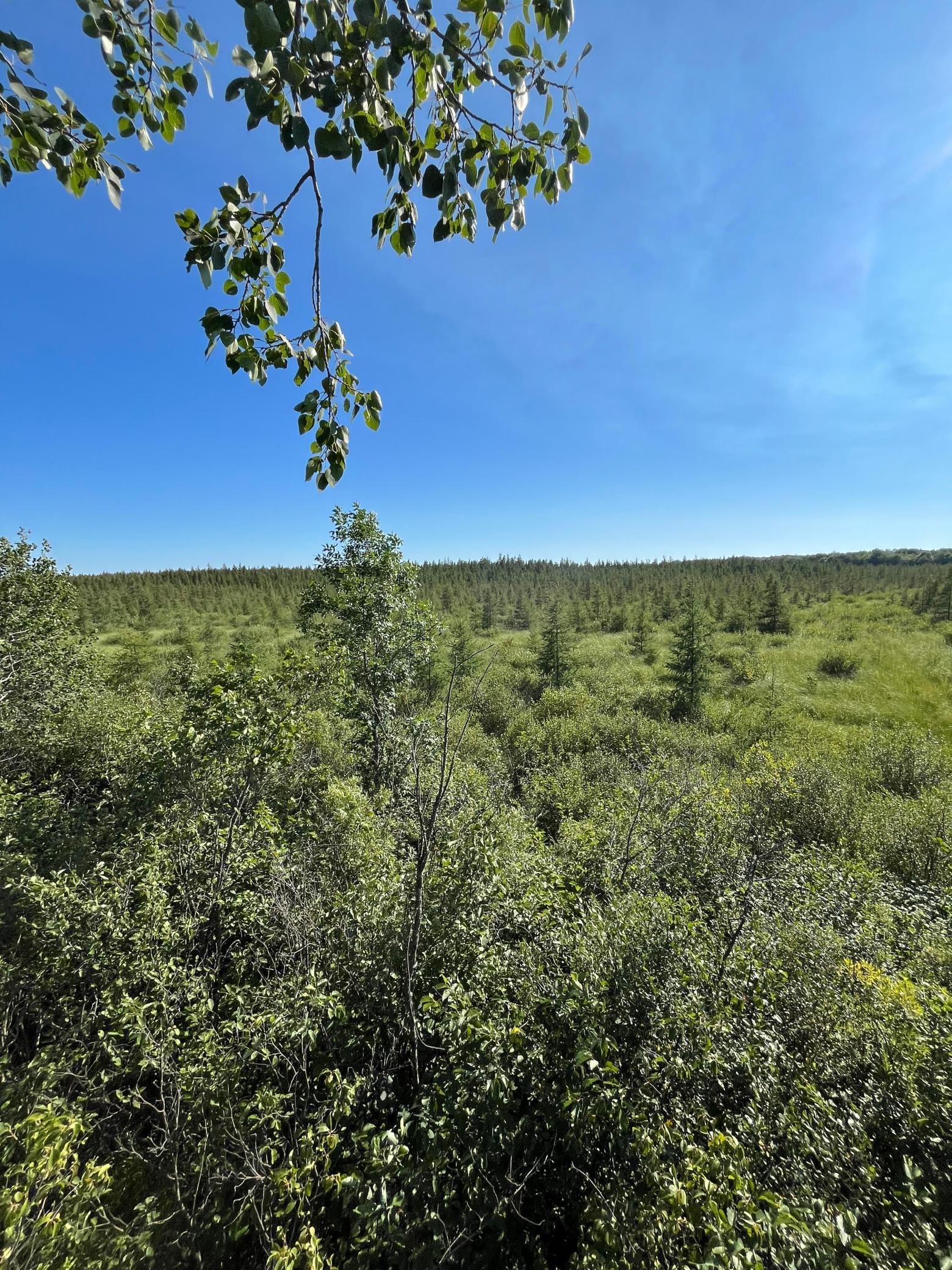 land for sale at xxx U S Hwy 169 in Aitkin, MN (photo 10 of 23)