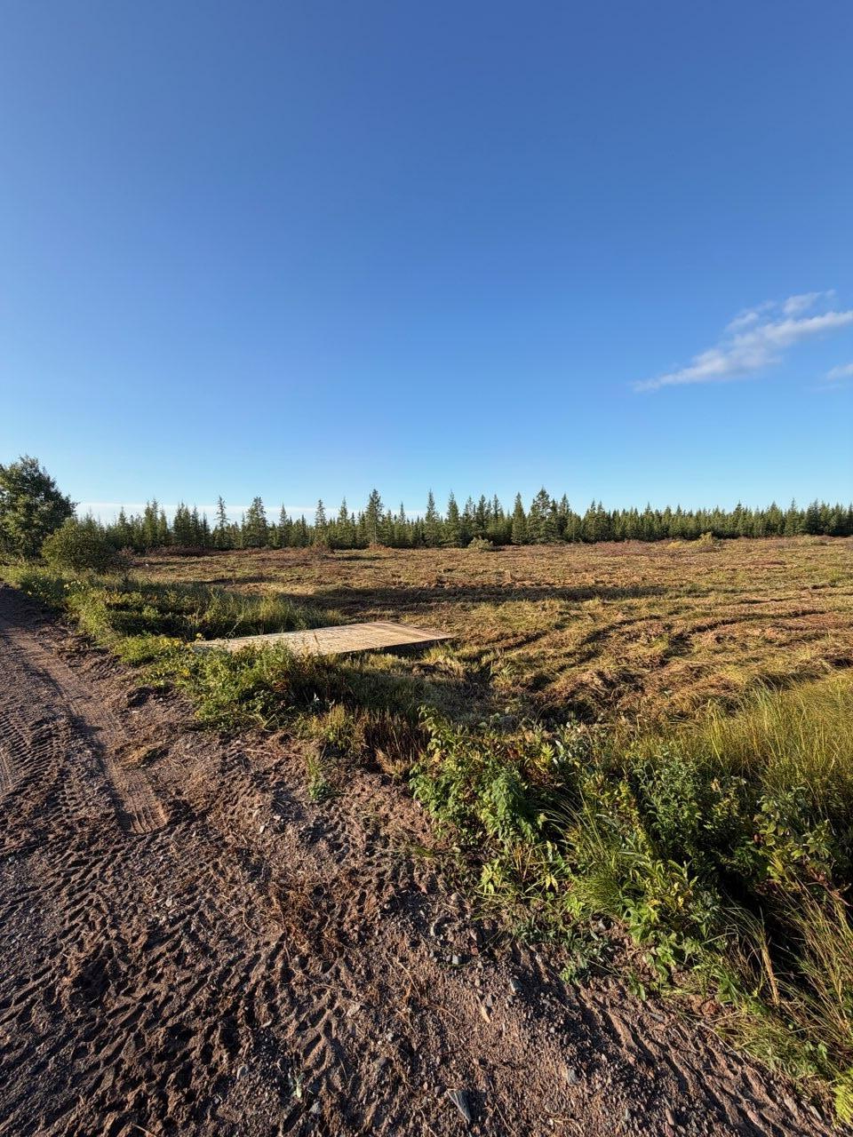 land for sale at xxx U S Hwy 169 in Aitkin, MN (photo 26 of 31)