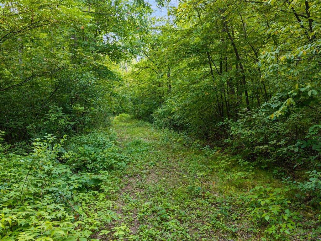 land for sale at TBD Highway 6 in Crosby, MN (photo 15 of 15)