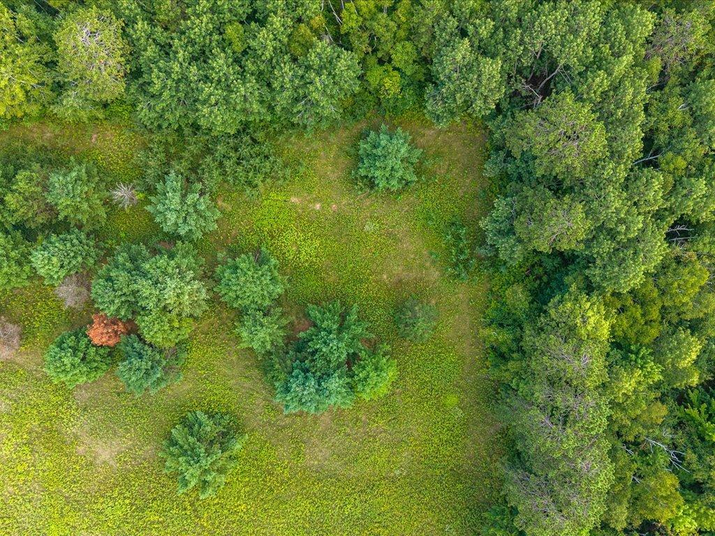 land for sale at TBD Highway 6 in Crosby, MN (photo 9 of 15)