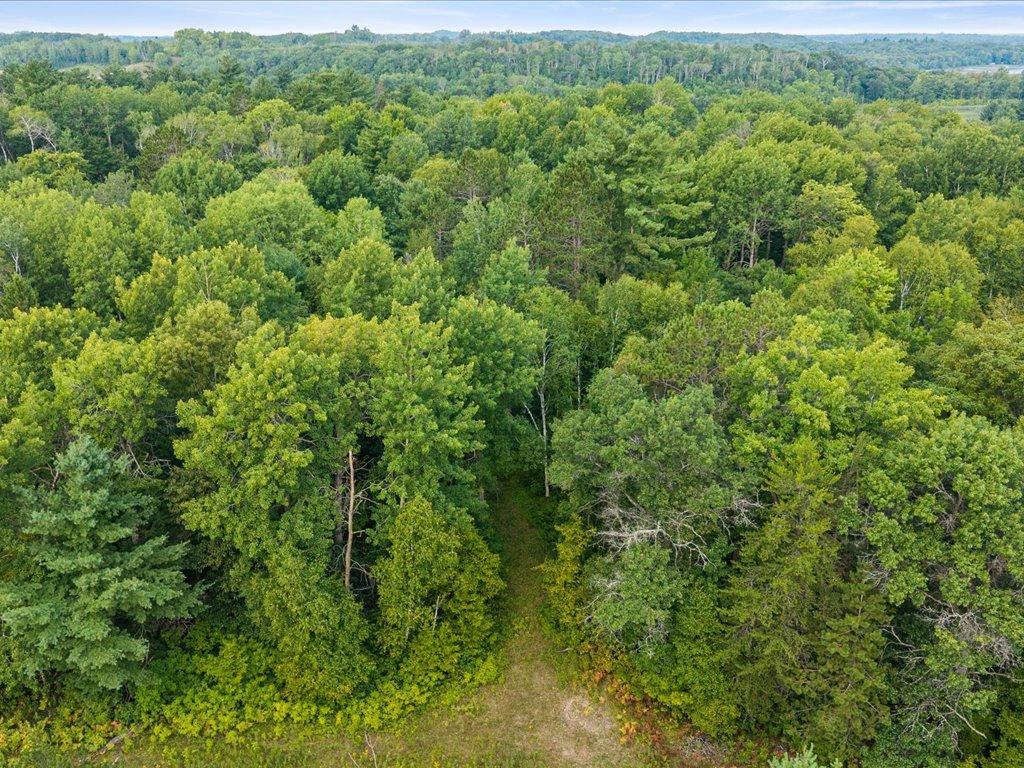 land for sale at TBD Highway 6 in Crosby, MN (photo 10 of 15)