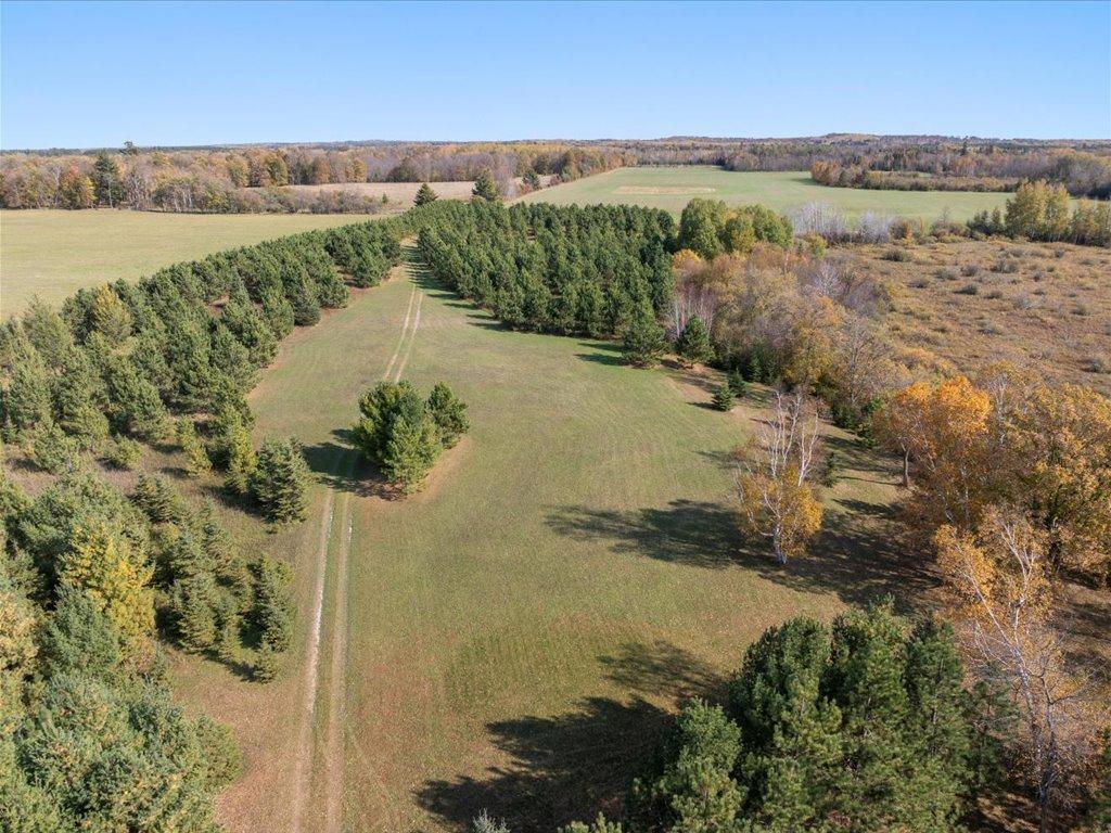 land for sale at TBD State 64 in Akeley, MN (photo 2 of 17)