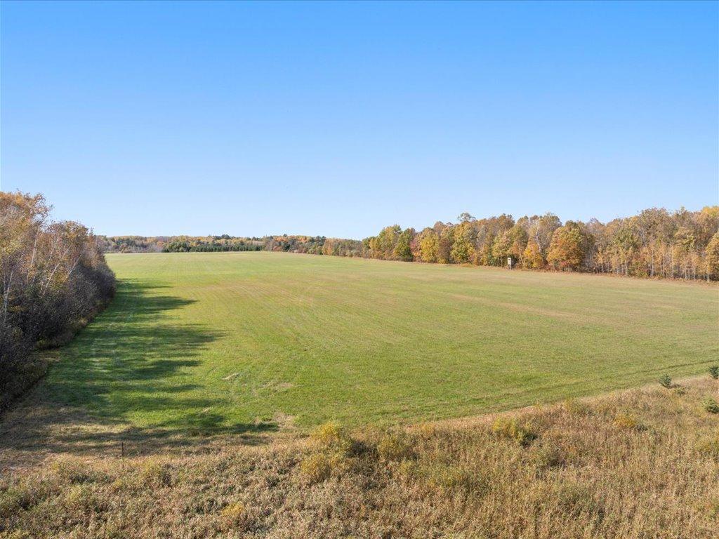 land for sale at TBD State 64 in Akeley, MN (photo 11 of 17)