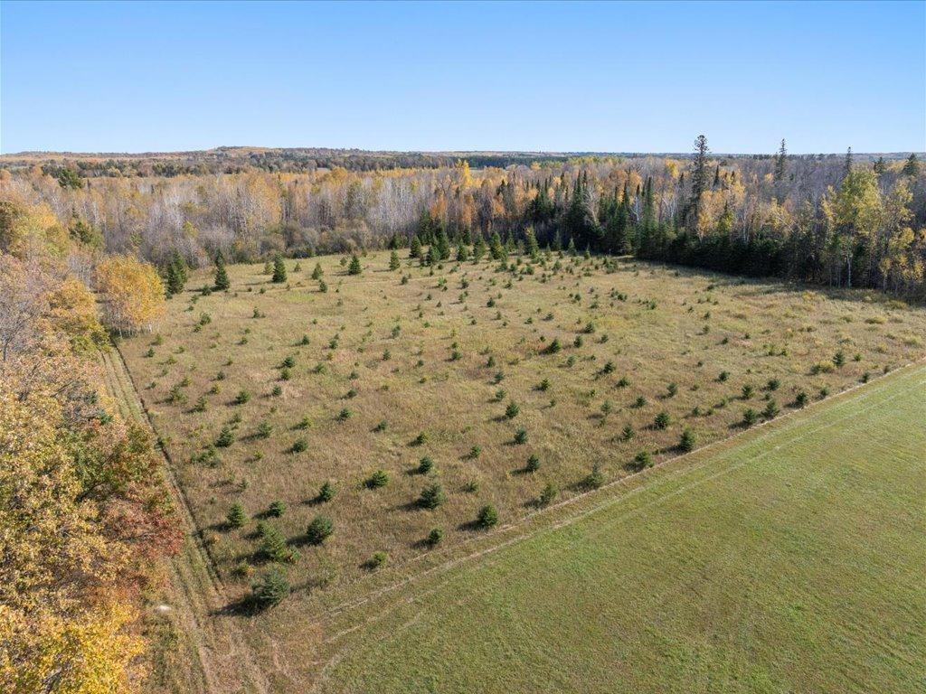 land for sale at TBD State 64 in Akeley, MN (photo 7 of 17)