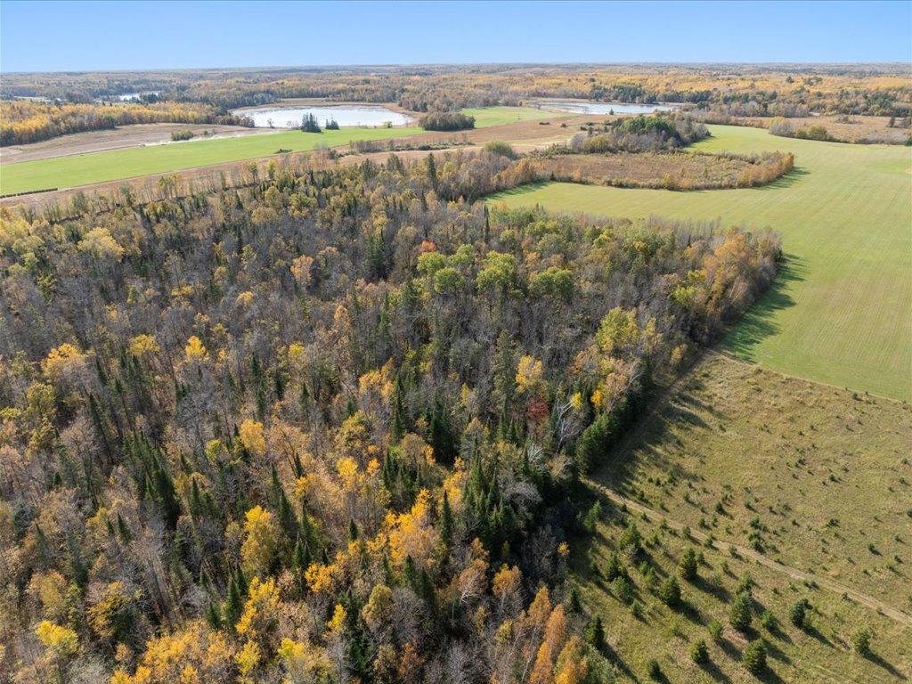 land for sale at TBD State 64 in Akeley, MN (photo 8 of 17)