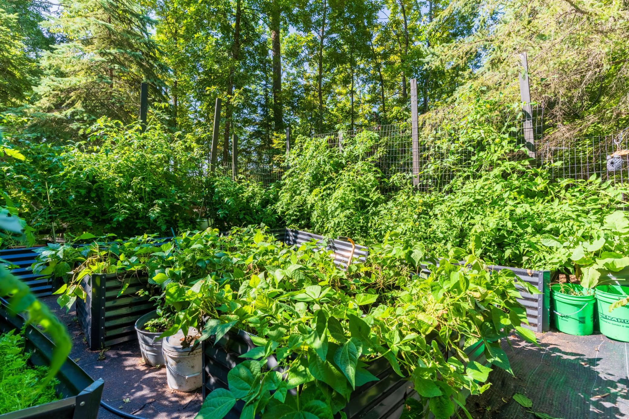 1989 single family home for sale at 3216 Gryce Styne Road NE in Bemidji, MN — 3 bed, 4 bath (photo 73 of 114)