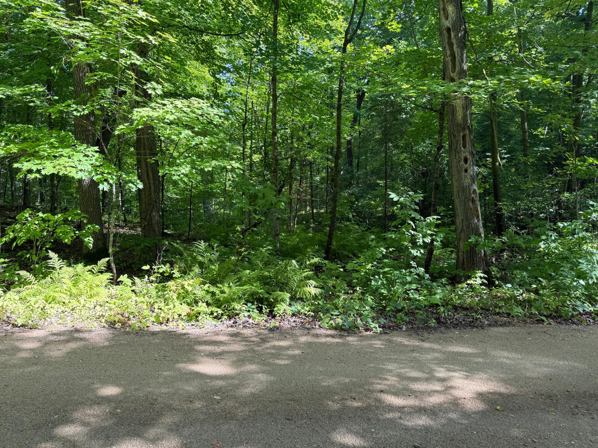 land for sale at TBD NE Gryce Styne Road NE in Bemidji, MN (photo 6 of 8)