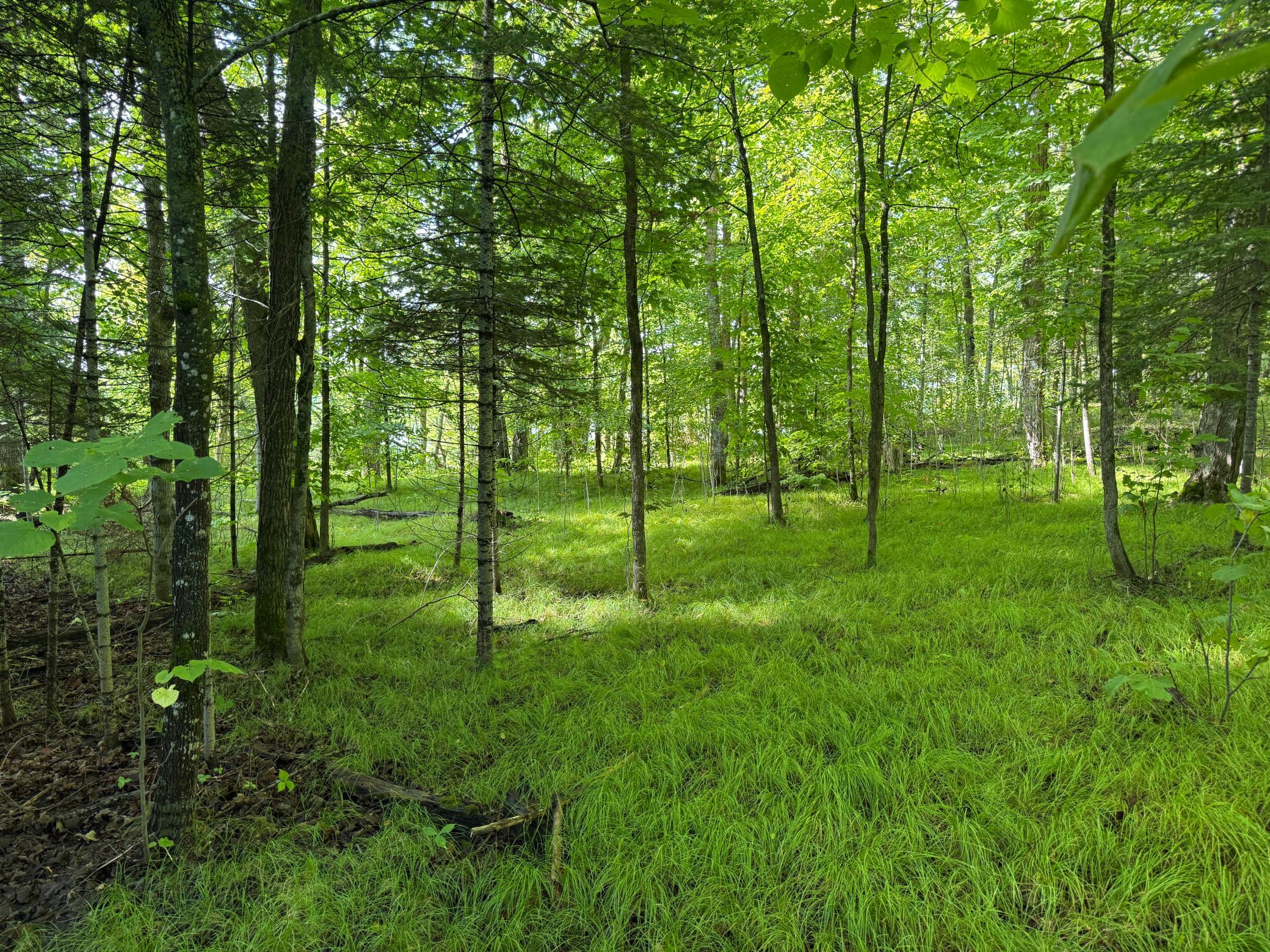 land for sale at TBD NE Gryce Styne Road NE in Bemidji, MN (photo 7 of 8)