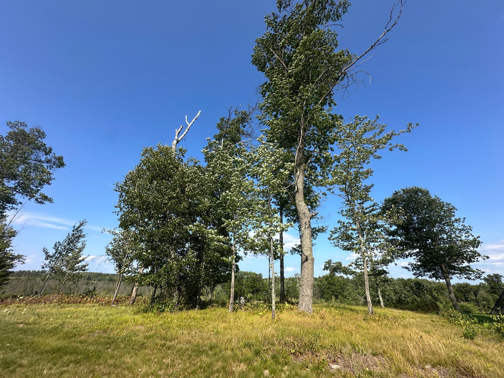 land for sale at 3628 Tradition Drive in Brainerd, MN (photo 7 of 18)