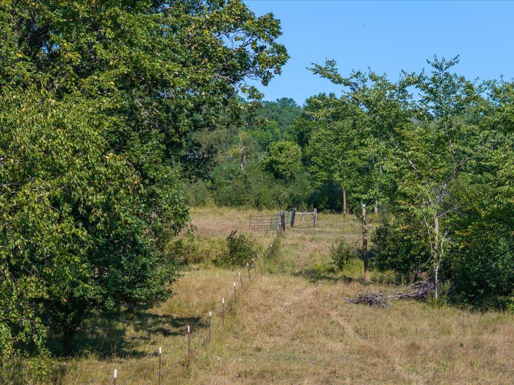 land for sale at tbd 40 acre State 210 in Pillager, MN (photo 11 of 22)