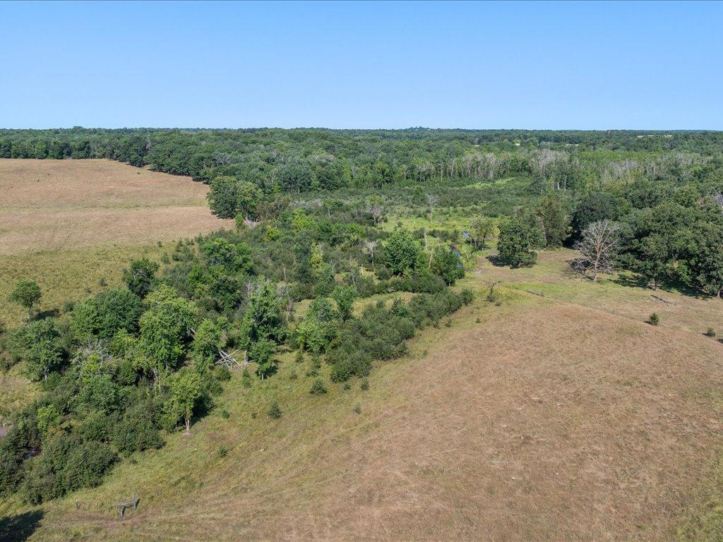 land for sale at tbd 40 acre State 210 in Pillager, MN (photo 12 of 22)