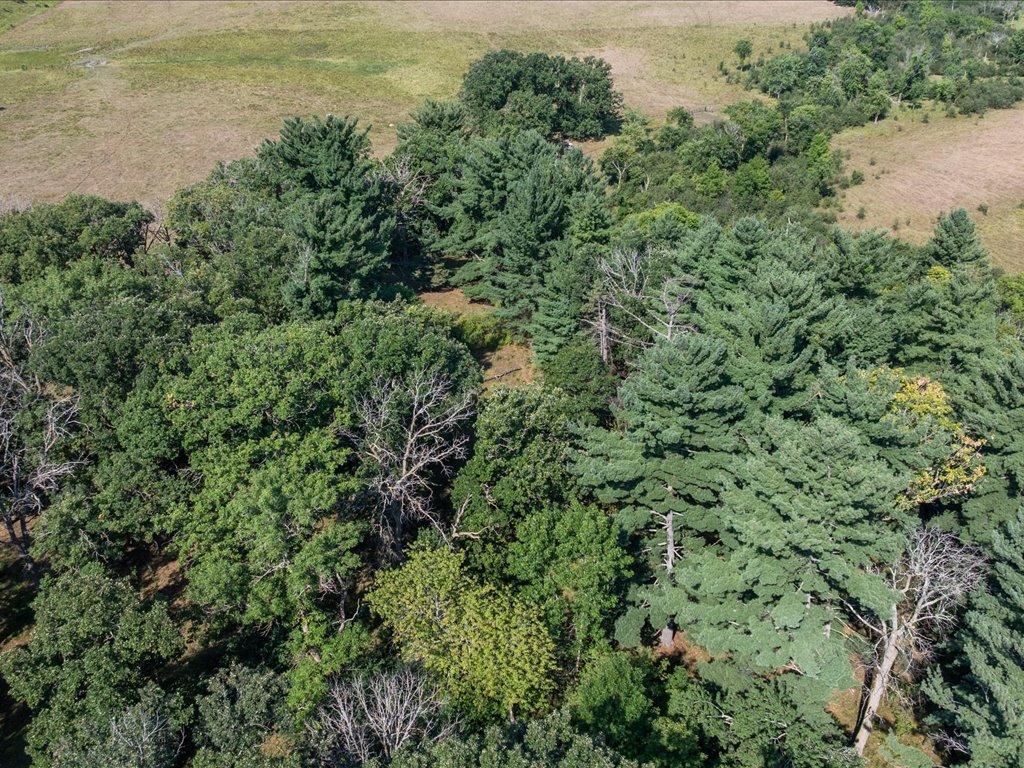 land for sale at tbd 40 acre State 210 in Pillager, MN (photo 22 of 22)