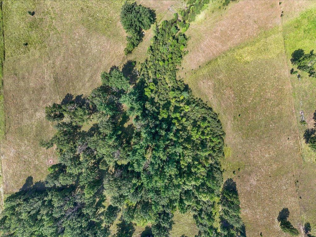 land for sale at tbd 40 acre State 210 in Pillager, MN (photo 5 of 22)