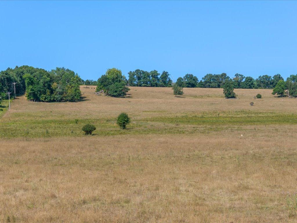 land for sale at tbd 40 acre State 210 in Pillager, MN (photo 7 of 22)
