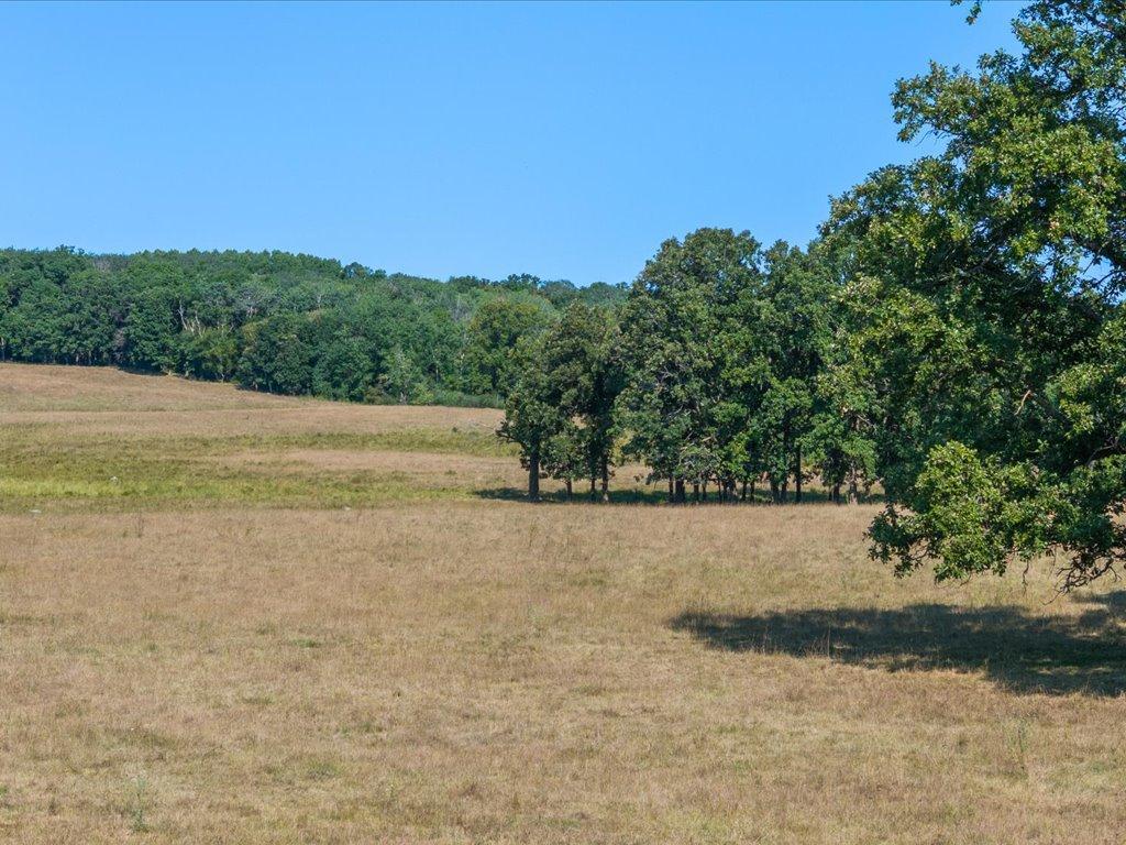 land for sale at tbd 40 acre State 210 in Pillager, MN (photo 8 of 22)