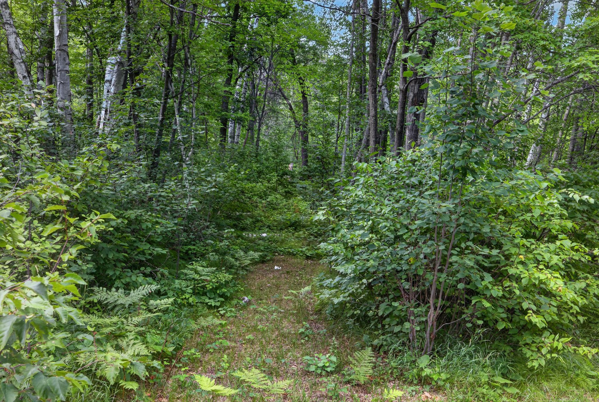 land for sale at Lot 6 BLK 3 Wilderness Trail in Cross Lake, MN (photo 9 of 11)