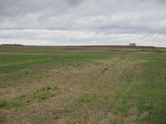 land for sale at TBD TBD in Sarles, ND (photo 2 of 8)