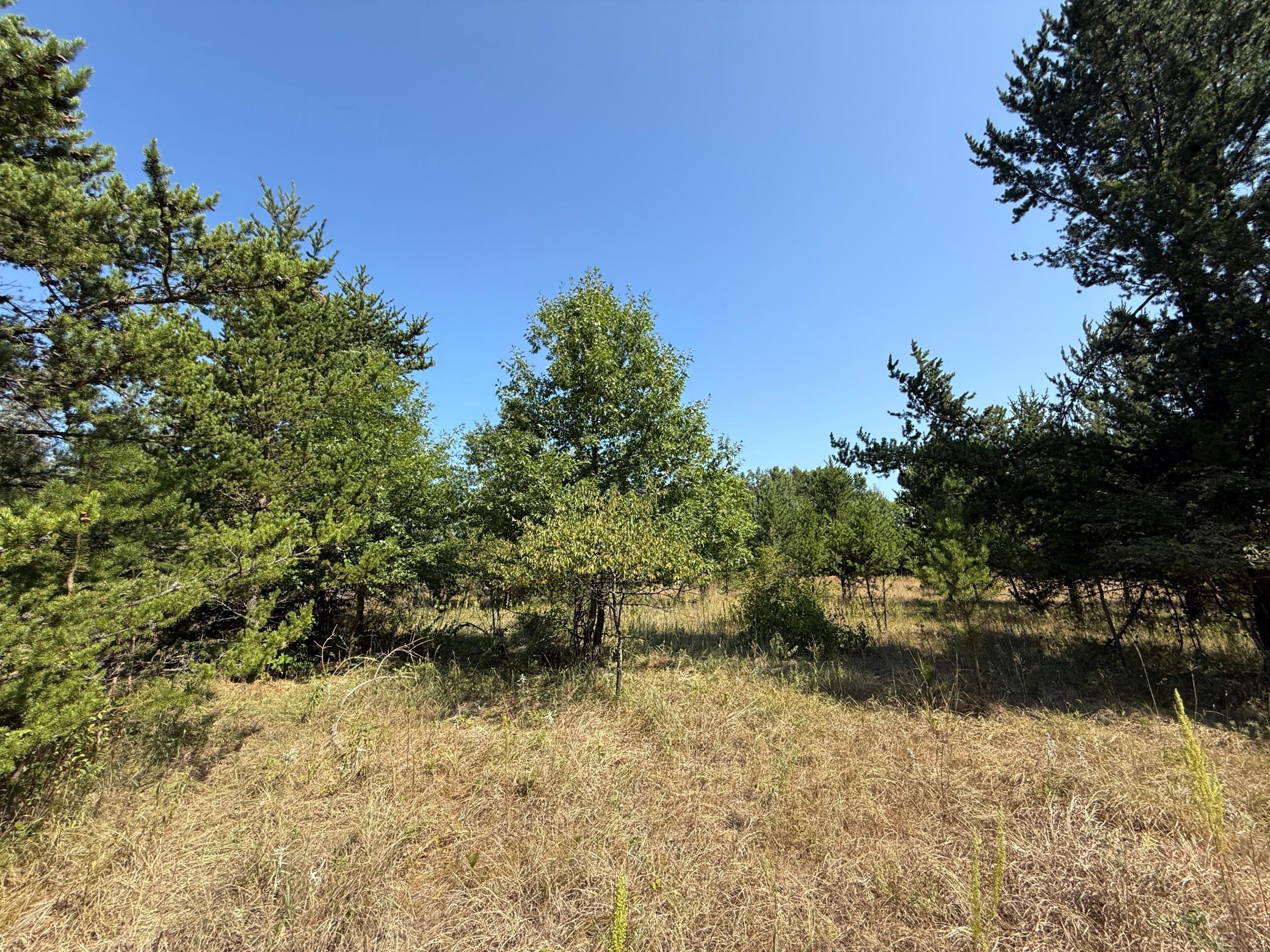 land for sale at TBD SE 13th St in Brainerd, MN (photo 8 of 13)